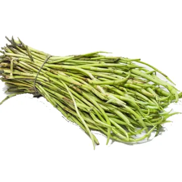 Kachur Lati -  Arrowroot Starch
